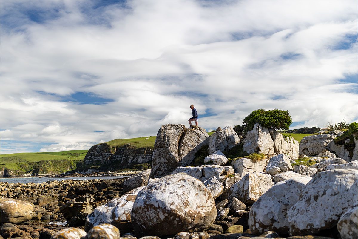 Merryvale Farm beach conservation